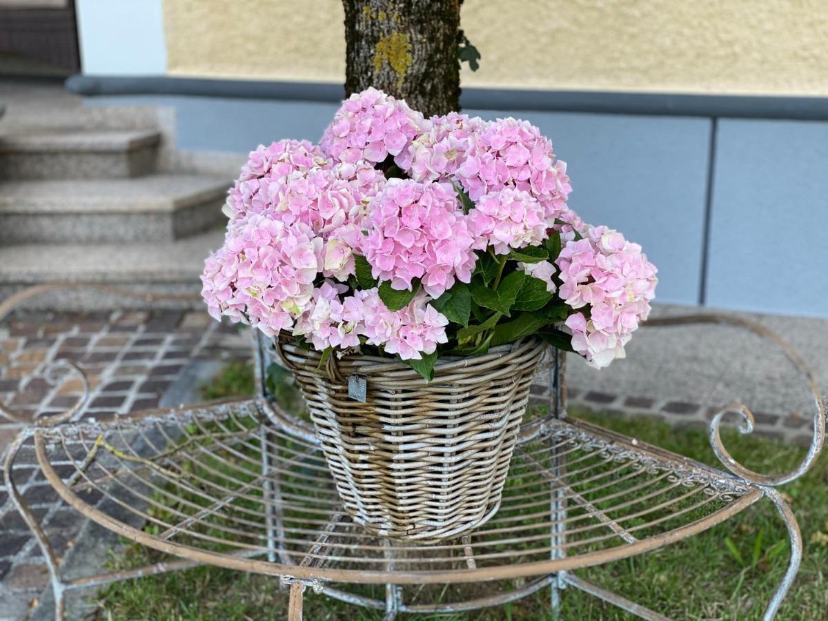 Almtalhotel Appartements In Pettenbach Εξωτερικό φωτογραφία